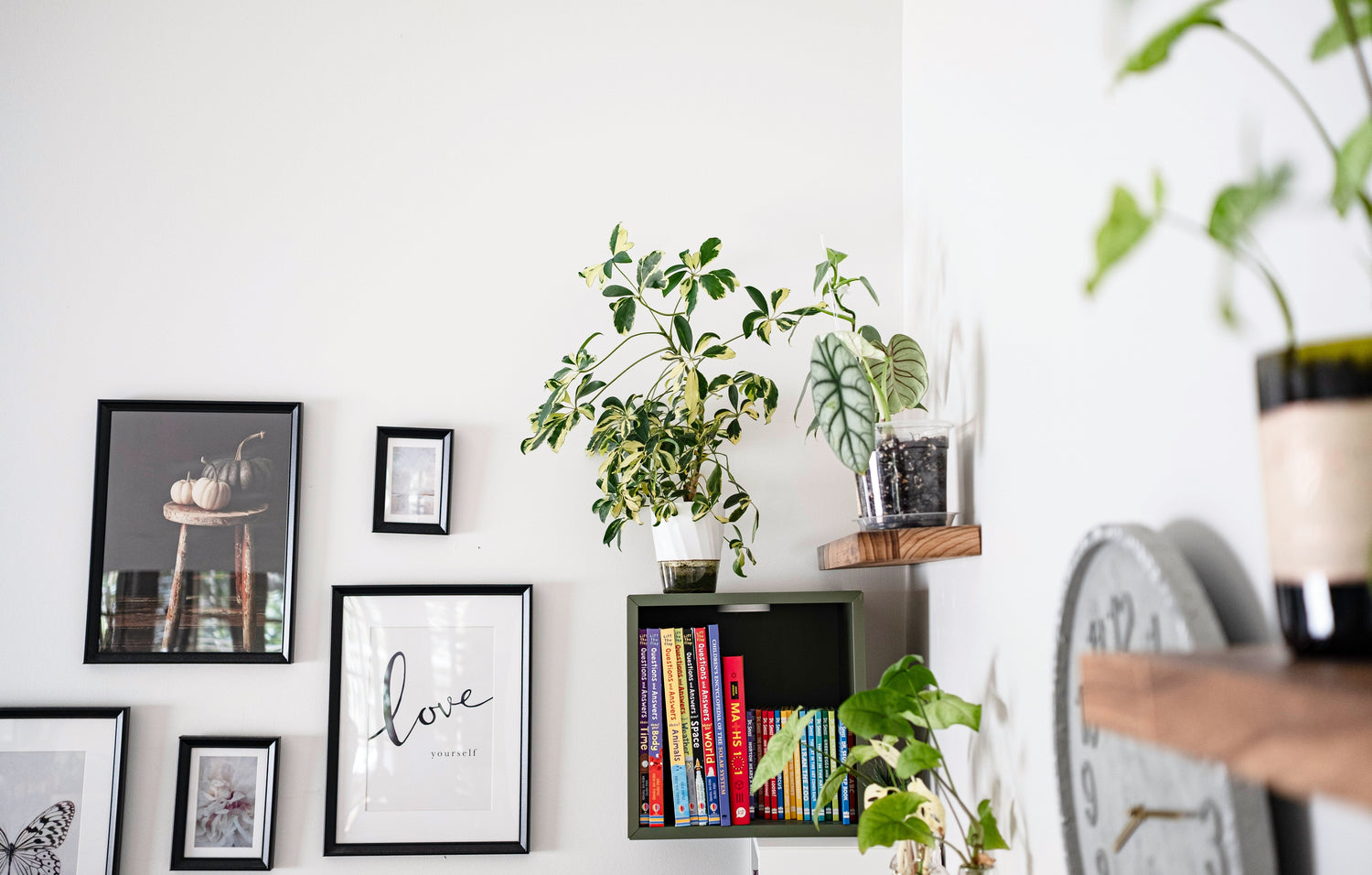 Home Decor